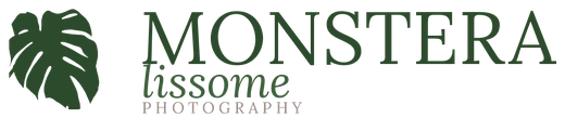 Monstera Lissome Photography